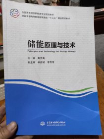 储能原理与技术/全国高等院校新能源专业规划教材，全国普通高等教育新能源类“十三五”精品规划教材