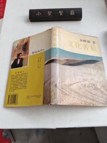 文化苦旅（精装）