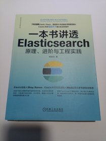 一本书讲透Elasticsearch：原理、进阶与工程实践 杨昌玉 著