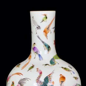 清雍正珐琅彩百鸟纹天球瓶2 33/23厘米
