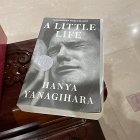 A Little Life