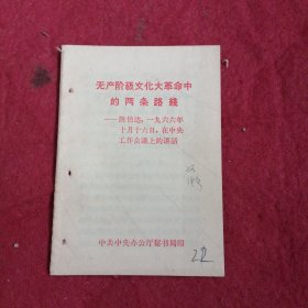 无产阶级文化大革命中的两条路线