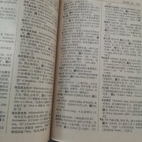 汉语外来词词典 1984年初版本