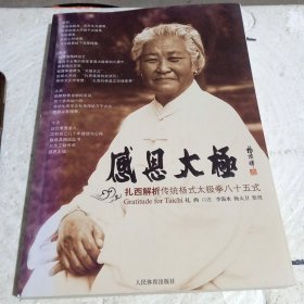 感恩太极：扎西解析传统杨式太极拳85式