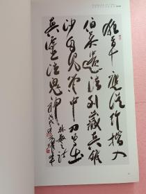 纪念林散之诞辰一百二十周年  全国书法名家邀请展作品集