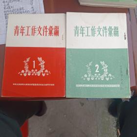 青年工作文件汇编 1 2 竖排