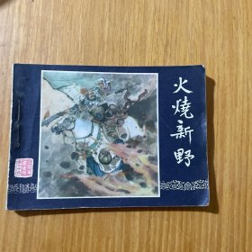 火烧新野