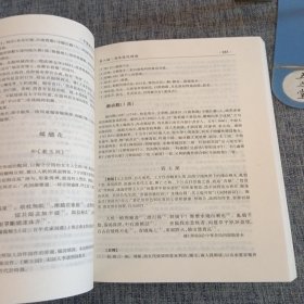 中国历代文学作品选.第四卷