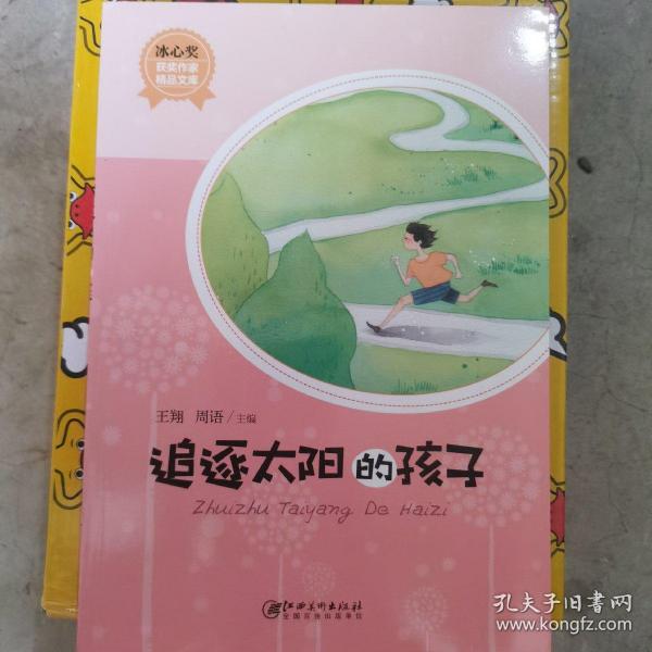 冰心奖获奖作家精品文库·追逐太阳的孩子