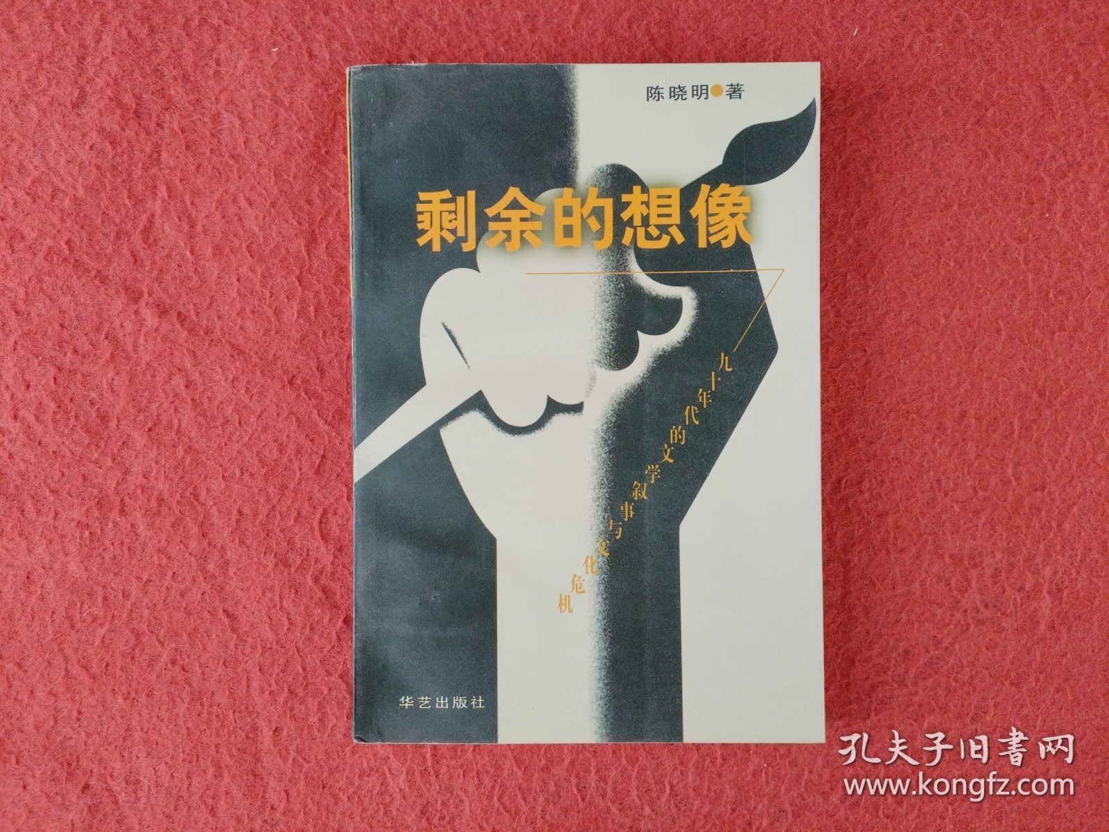 剩余的想象:九十年代的文学叙事与文化危机【钤印签赠本】实物拍图