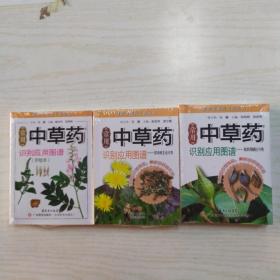 精致中草药工具丛书：常用中草药识别应用图谱（手绘本）