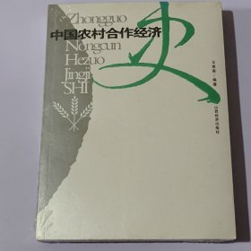 中国农村合作经济史