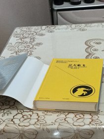 让大象飞:激进创新，让你一飞冲天的创业术