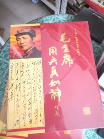 二十集大型战争艺术专题片毛主席用兵真如神(未开封)