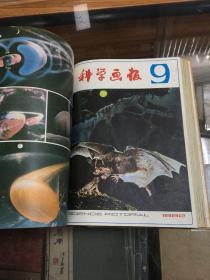 科学画报 1982年 12册 合订本  精装  1 2 3 4 5 6 7 8 9 10 11 12 （16开  精装 合订本  品好）