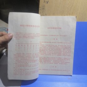 钢笔正楷77天便捷速成法