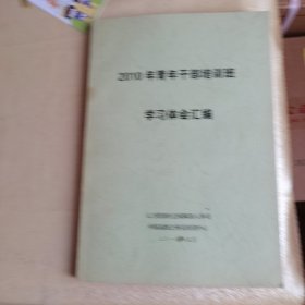 2010年青年干部培训班学习体会汇编