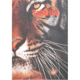 AN ENCYCLOPAEDIA OF TIGERS（虎典）