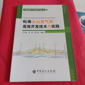 松南火山岩气田高效开发技术与实践