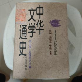 中华文学通史  第七卷