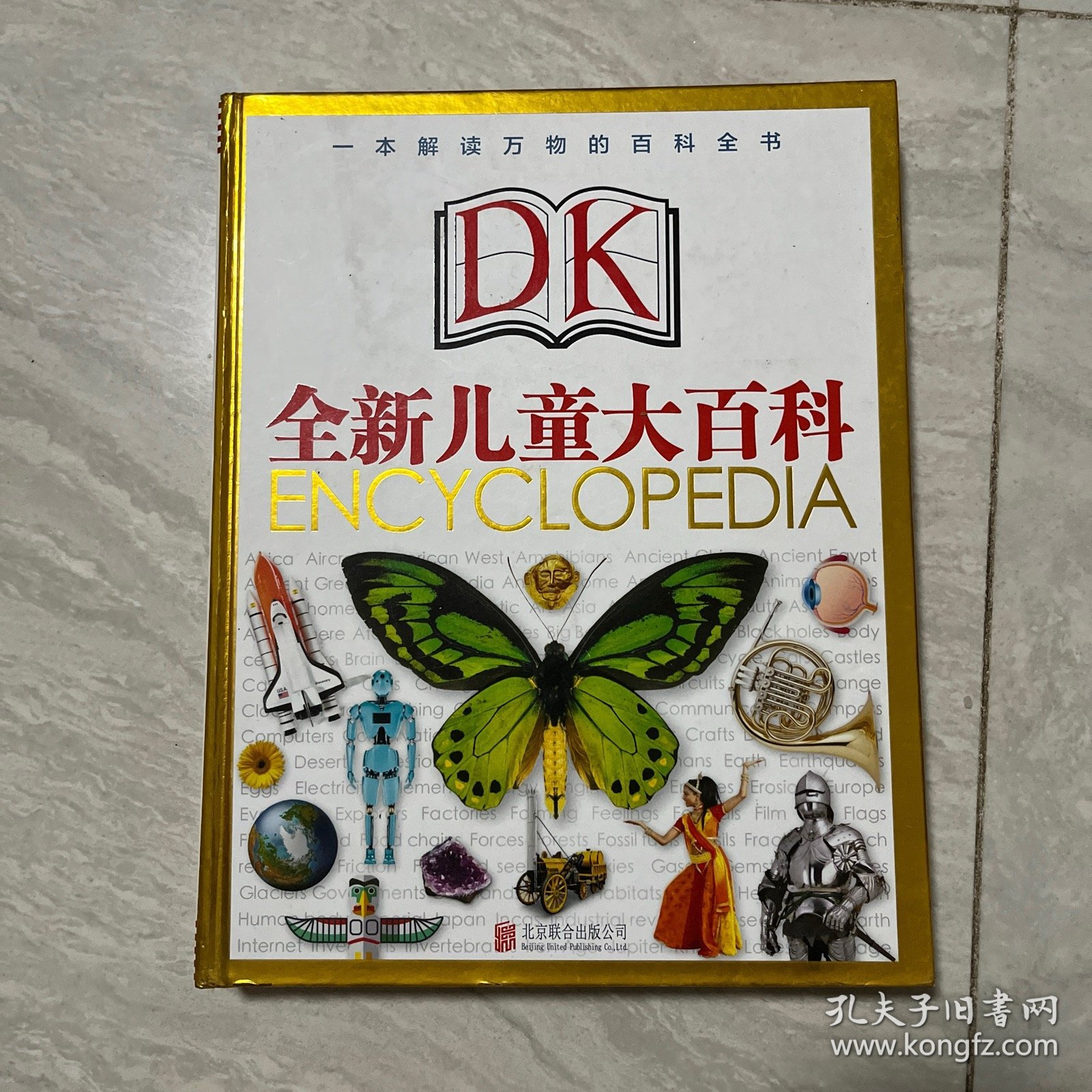 全新DK儿童大百科：一本解读万物的百科全书