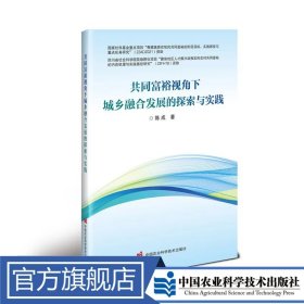 共同富裕视角下城乡融合发展的探索与实践
陈成定价60元