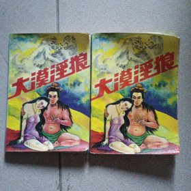 武侠小说：大漠淫狼（上下）