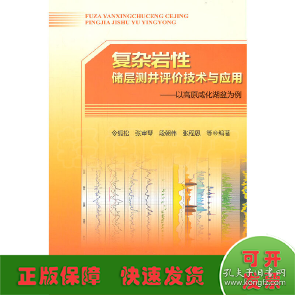复杂岩性储层测井评价技术与应用——以高原咸化湖盆为例