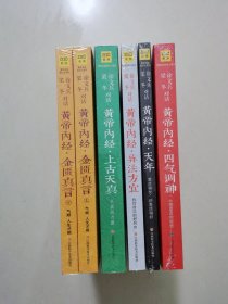 徐文兵、梁冬对话·黄帝内经说什么系列（全6册）