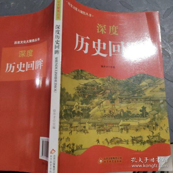 中小学生阅读系列之 历史文化大聚焦丛书——深度历史回眸