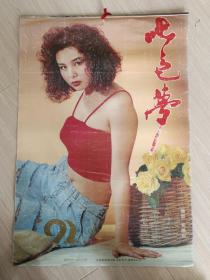 1992年明星挂历 .七色梦.13张全。封面品相如图，没上墙挂过，12月每页正反面纸张干净。王旭.潘捷.刘爽.贾妮.高宝宝.李琳.韩萍.盖簏簏.陈虹.韩萍.陶青.