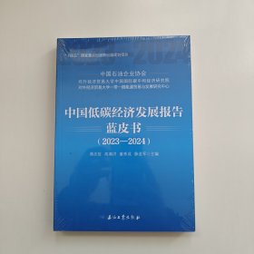 中国低碳经济发展报告蓝皮书(2023-2024)