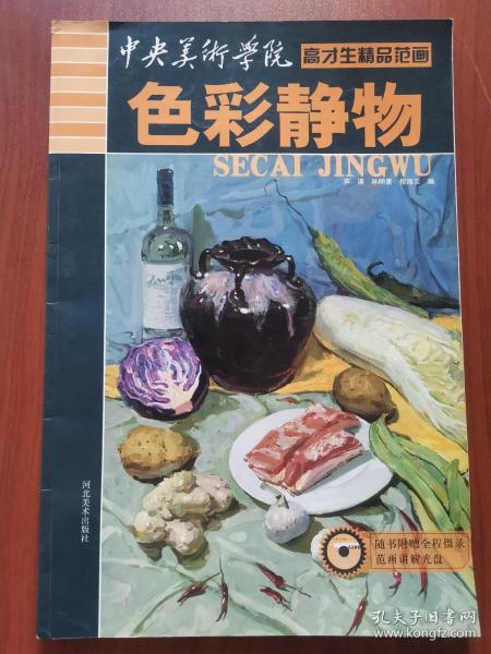 中央美术学院高才生精品范画：色彩静物