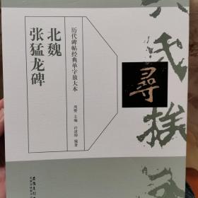 历代碑帖经典单字放大本·北魏 张猛龙碑