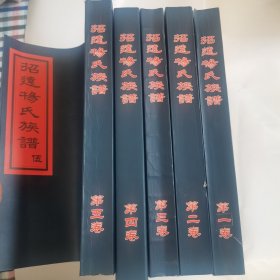招远杨氏族谱（5本）