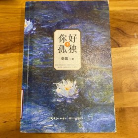 你好，孤独