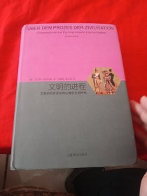 文明的进程：文明的社会发生和心理发生的研究（睿文馆）