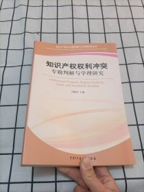 知识产权权利冲突：专题判解与学理研究