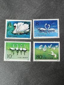 1983年编号T83　天鹅 邮票《4枚一套》