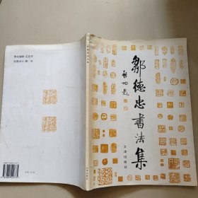 邹德忠书法集