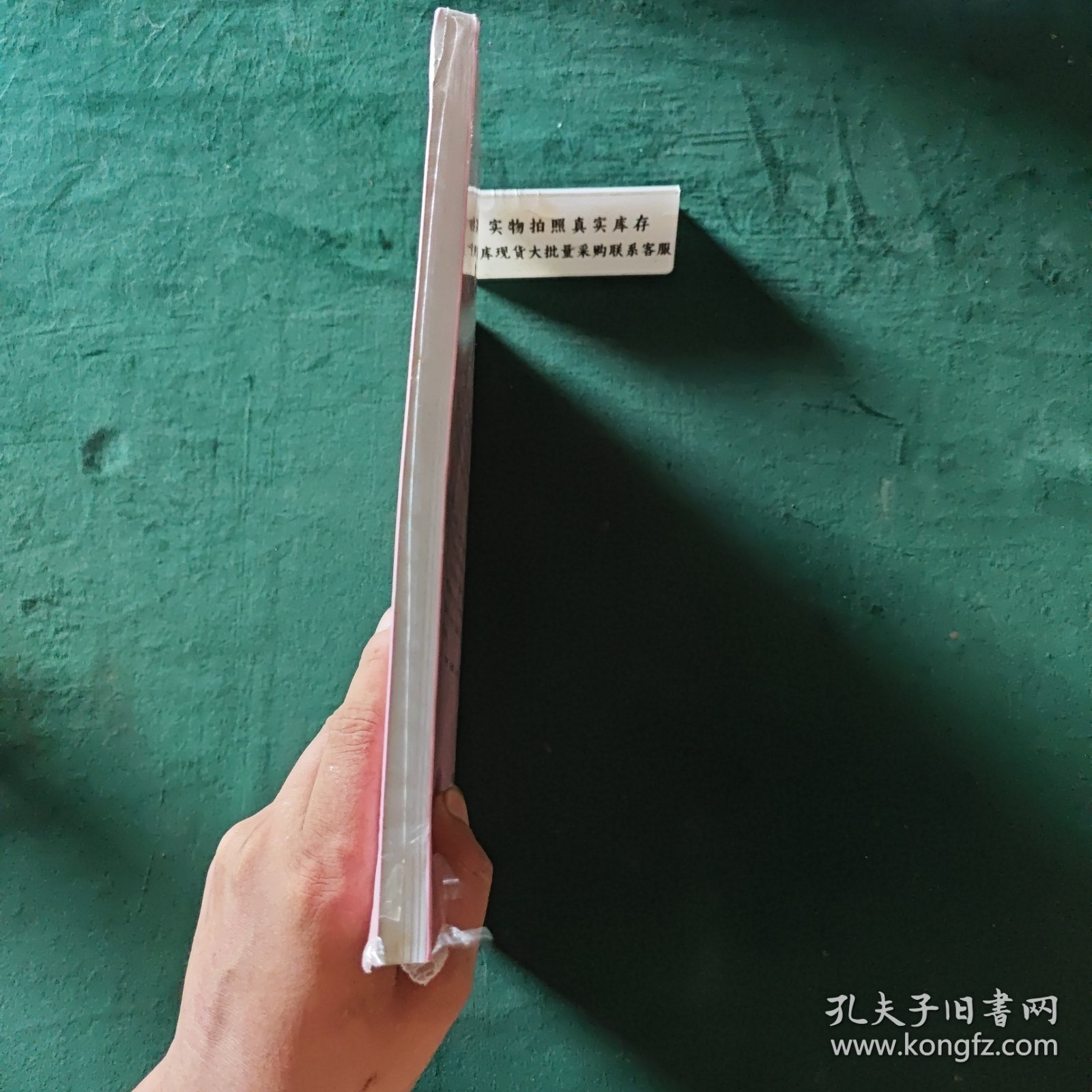 幼儿教师工作助手丛书·幼儿园区域活动：环境创设与活动设计方法