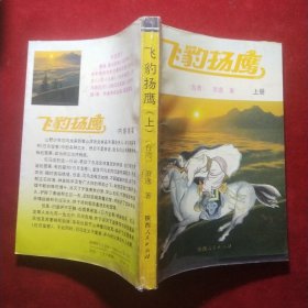 飞豹扬鹰(上)
