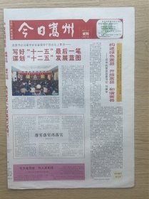 【试刊号】今日嵩州：2010年11月12日，国内统一刊号C N41–0057，今日4版全。河南省嵩县党报。