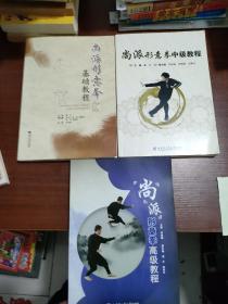 尚派形意拳 基础 中级 高级教程 3册全