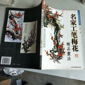 名家工笔梅花精品画法