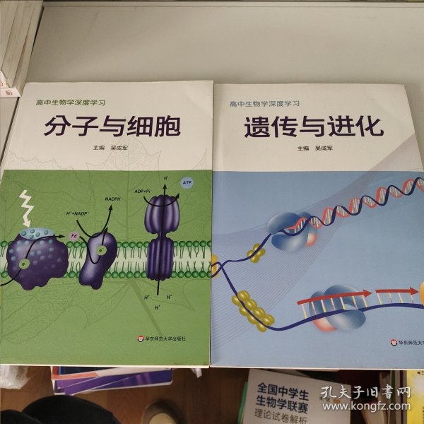 高中生物学深度学习 遗传与进化