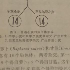 生物史（ 第四分册）生物发展的历史规律