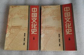 中国文化史上下 胡世庆 张品兴 著 中国广播电视出版社