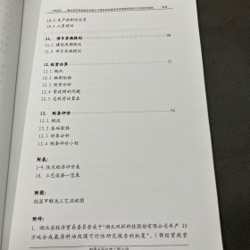 湖北双环科技股份有限公司 合成氨原料油改煤 配套净化系统技改项目 可行性研究报告