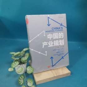 中国的产业规划